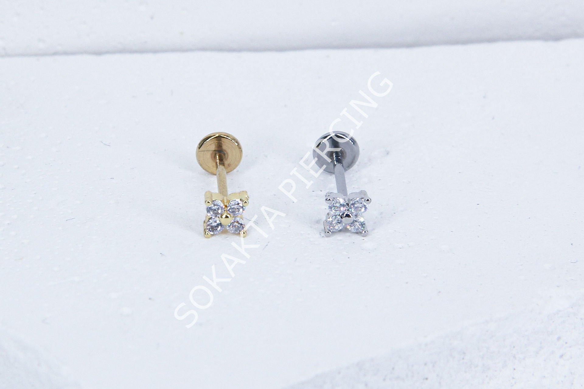 C31 - TRAGUS