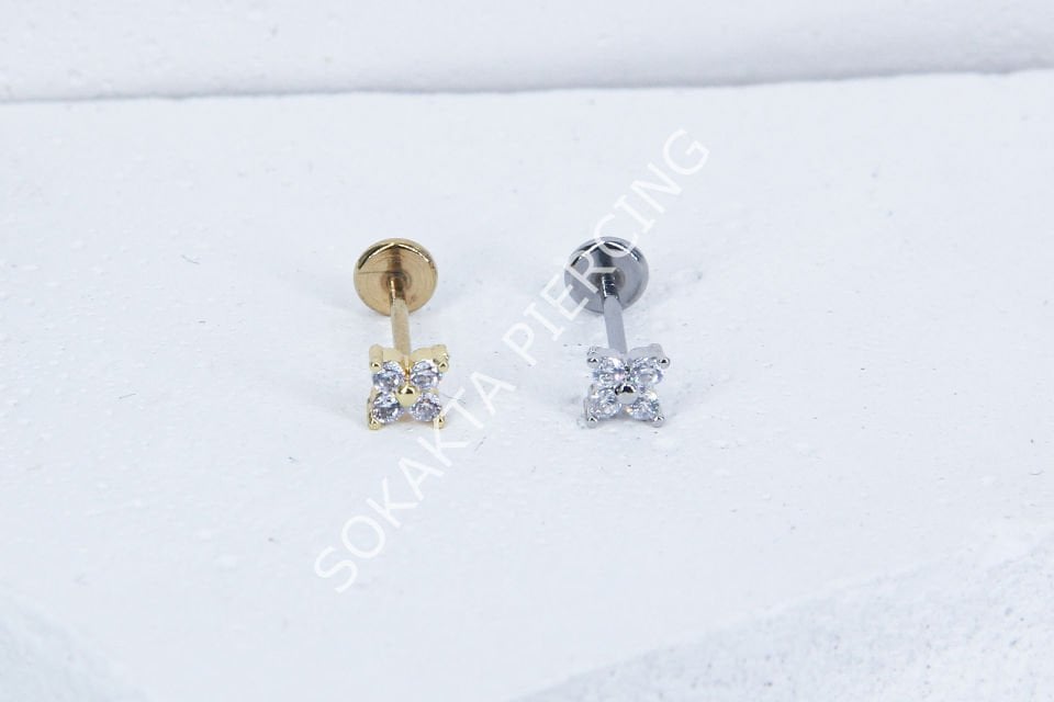 C31 - TRAGUS