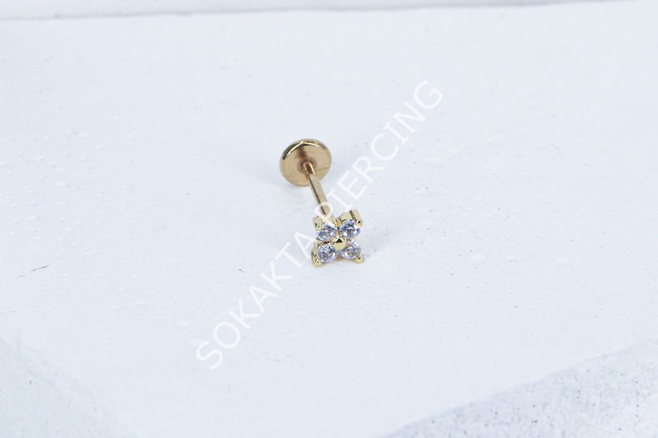 C31 - TRAGUS