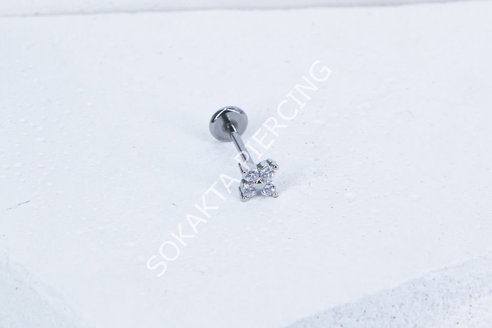 C31 - TRAGUS