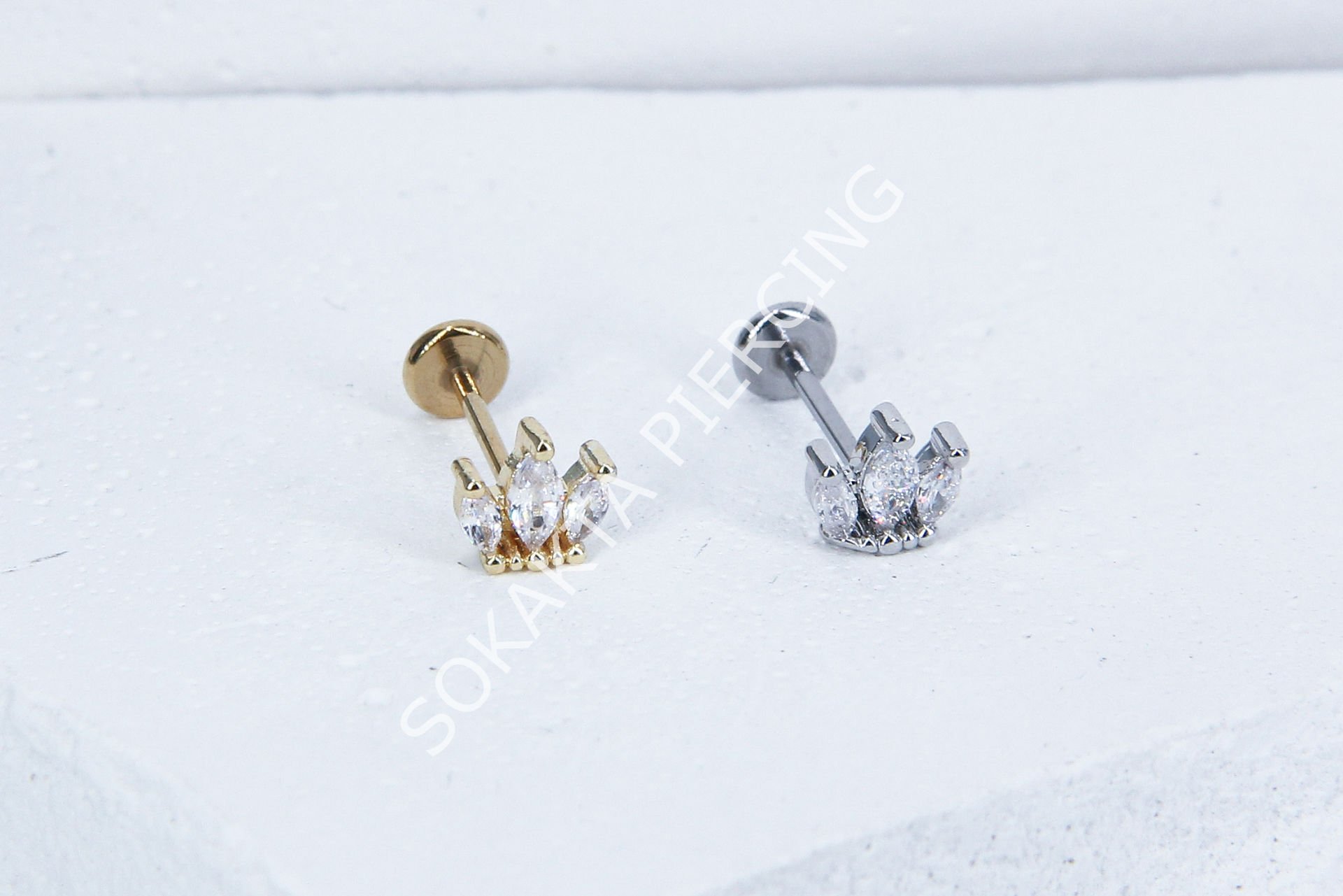 C71 - TRAGUS