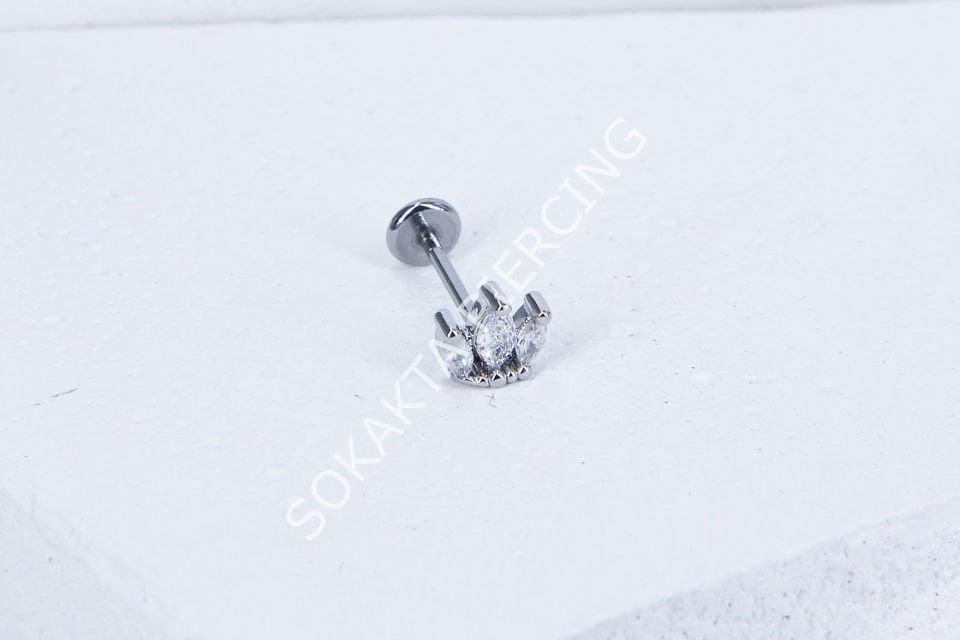 C71 - TRAGUS