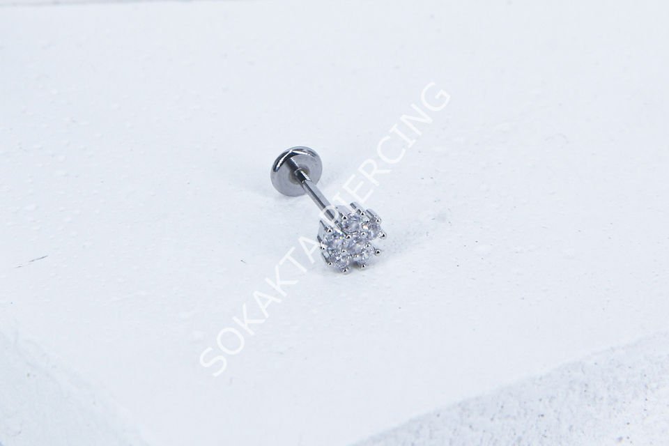 C68 - TRAGUS