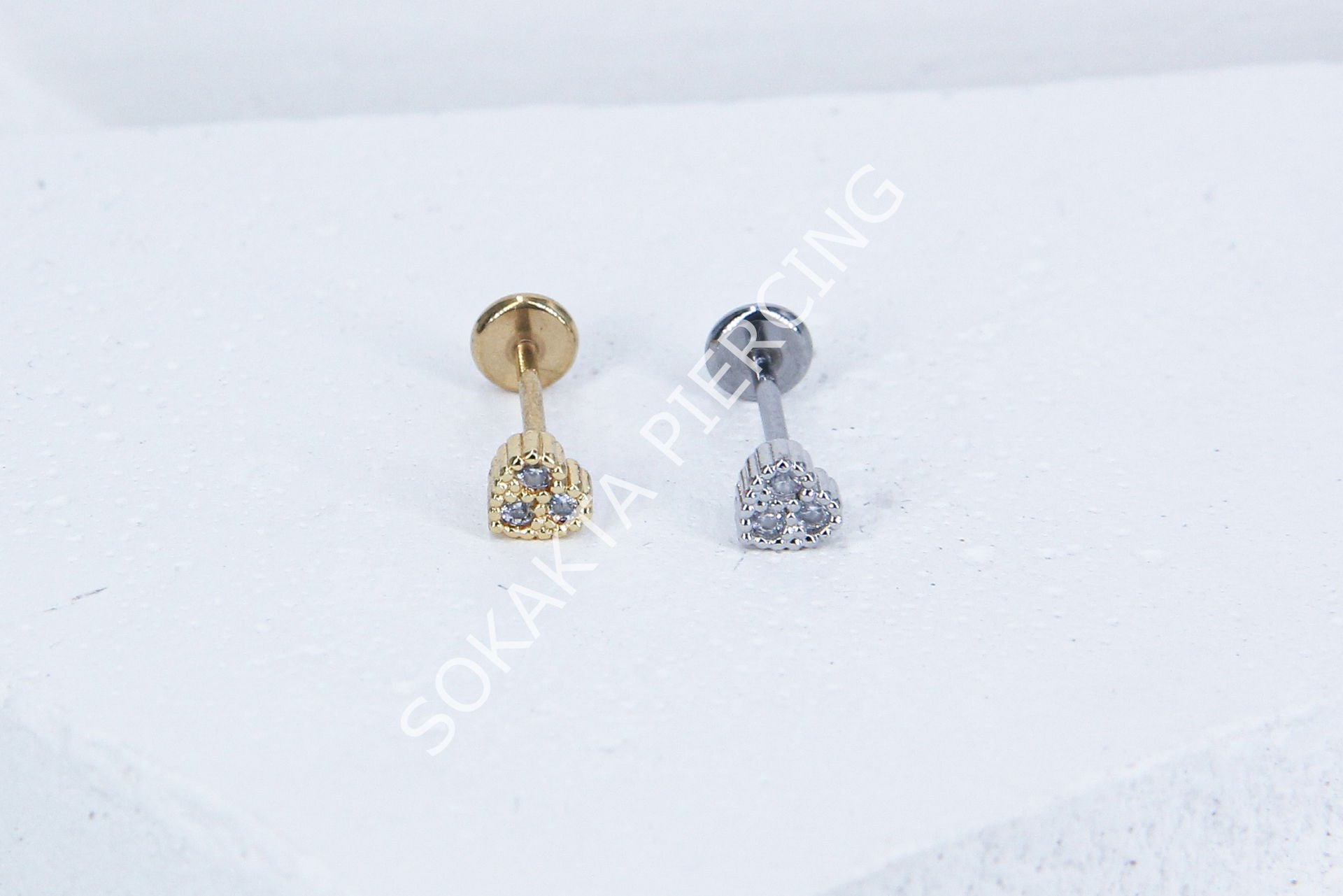 C62 - TRAGUS