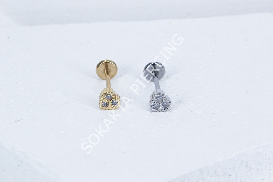 C62 - TRAGUS