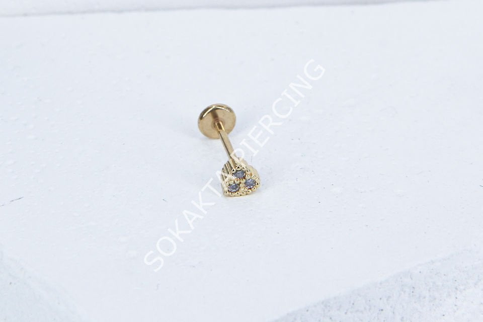 C62 - TRAGUS