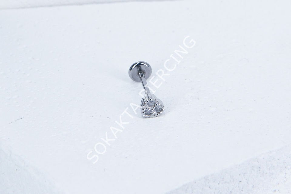 C62 - TRAGUS