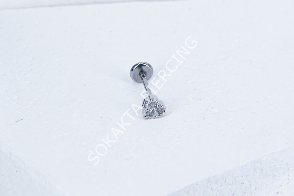 C62 - TRAGUS