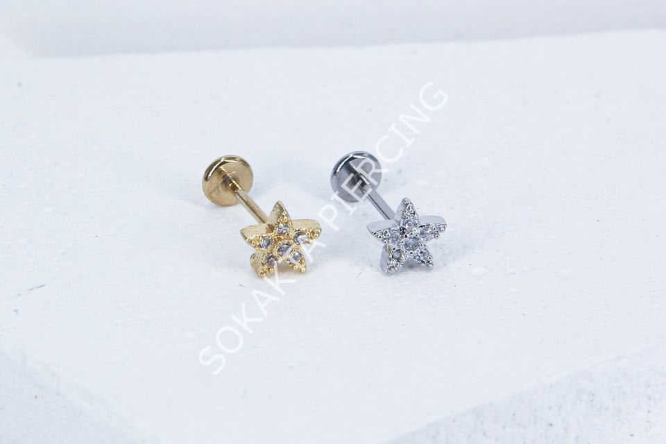 C73 - TRAGUS
