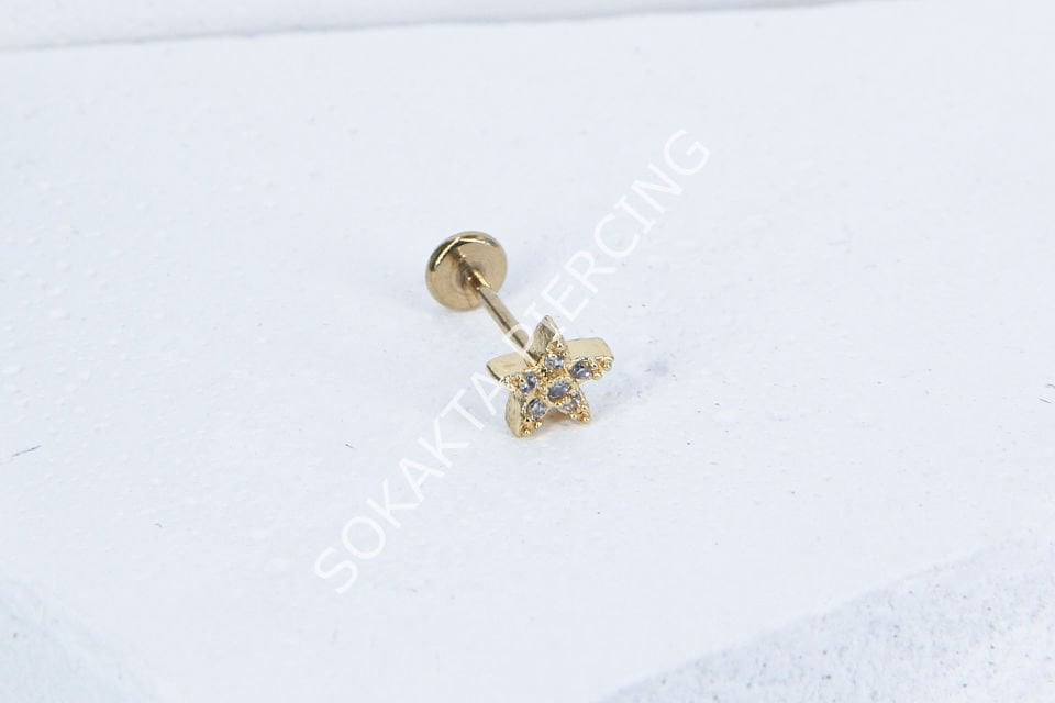 C73 - TRAGUS