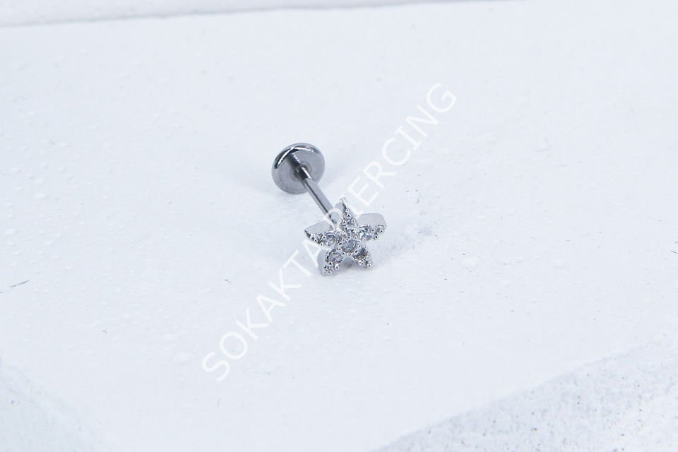 C73 - TRAGUS