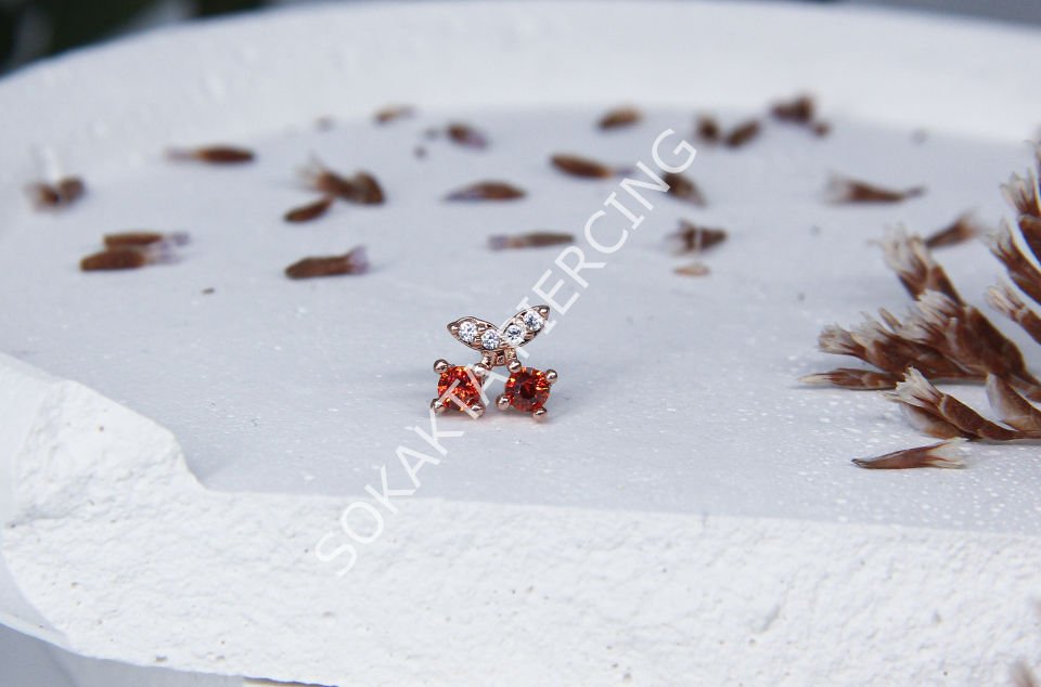 B104 -  TRAGUS Silver