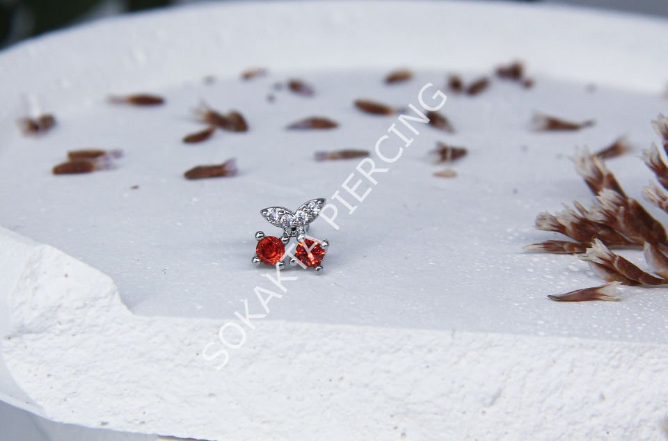 B104 -  TRAGUS Silver