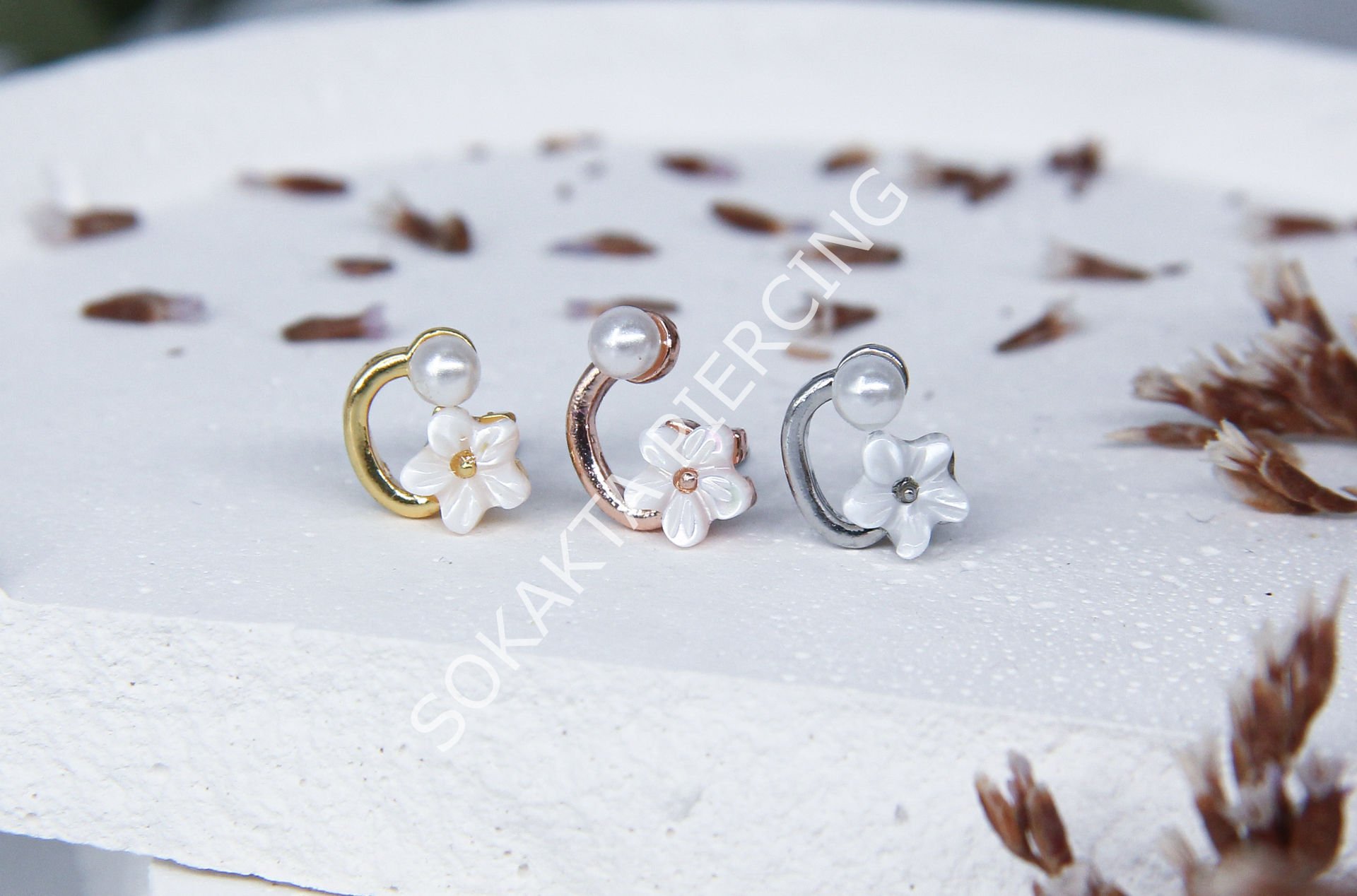 X22 - TRAGUS