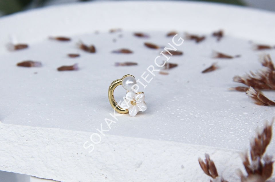 X22 - TRAGUS