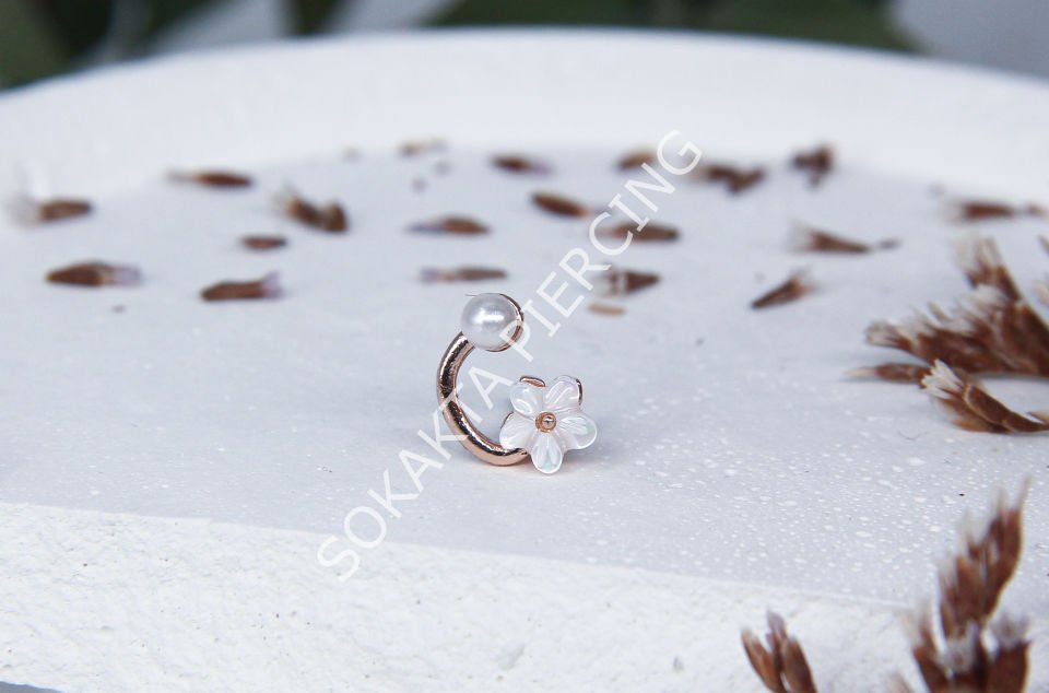 X22 - TRAGUS