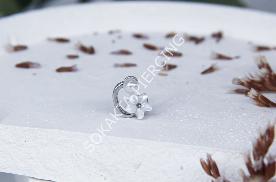 X22 - TRAGUS