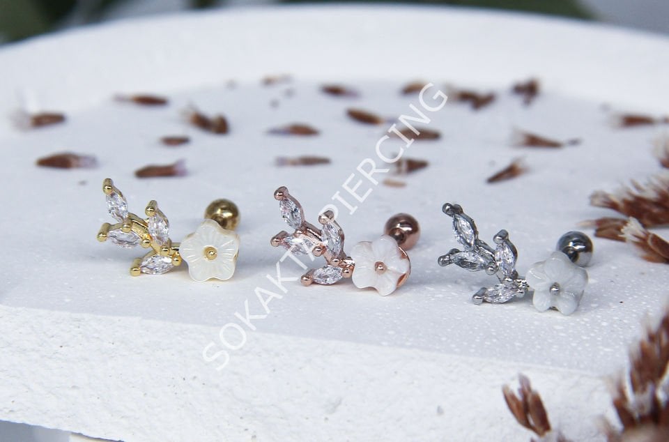 B75 - TRAGUS Gold