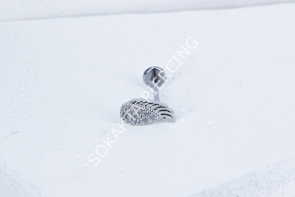 C72 - TRAGUS