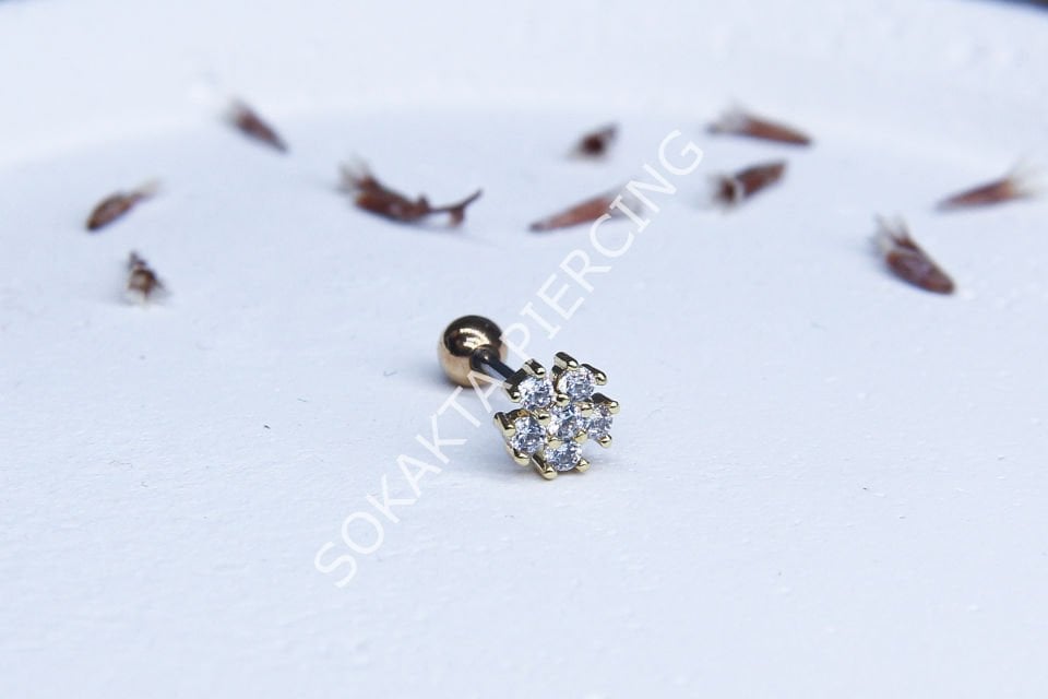 A44  - TRAGUS Silver