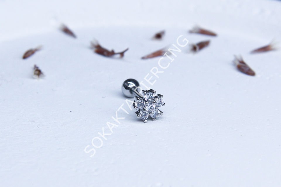 A44  - TRAGUS Silver