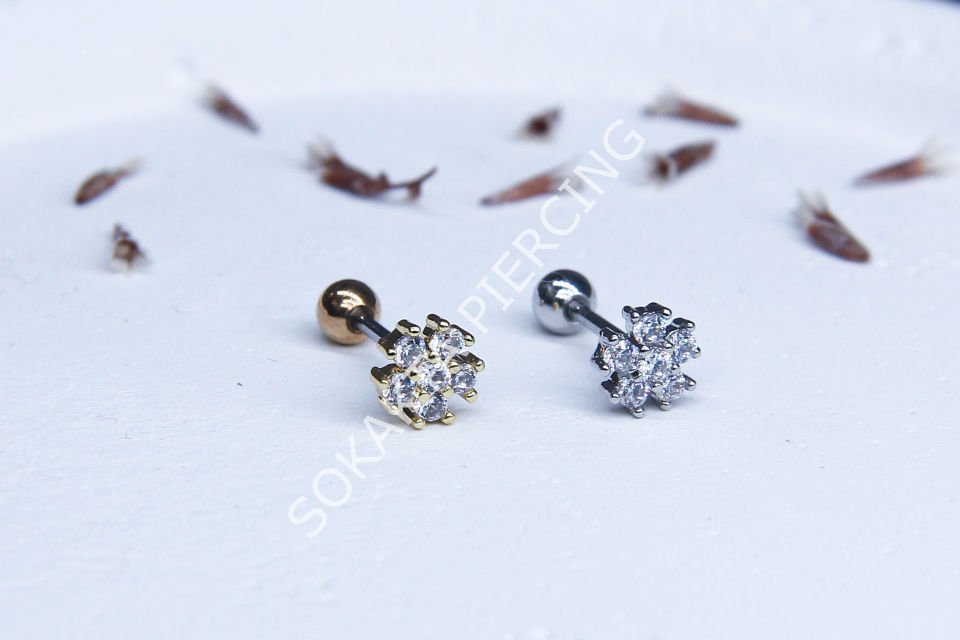 A44  - TRAGUS Silver
