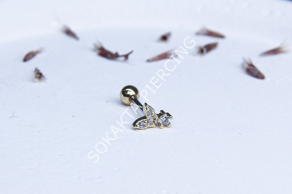 A60 - TRAGUS Silver