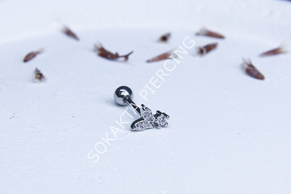 A60 - TRAGUS Silver
