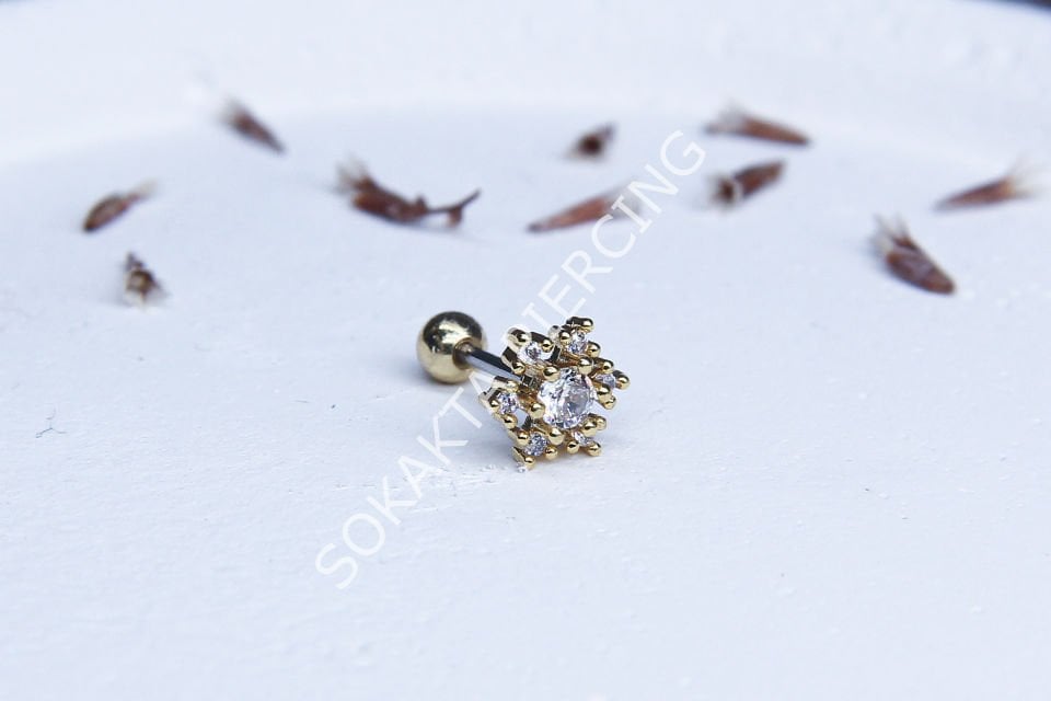 B75 - TRAGUS