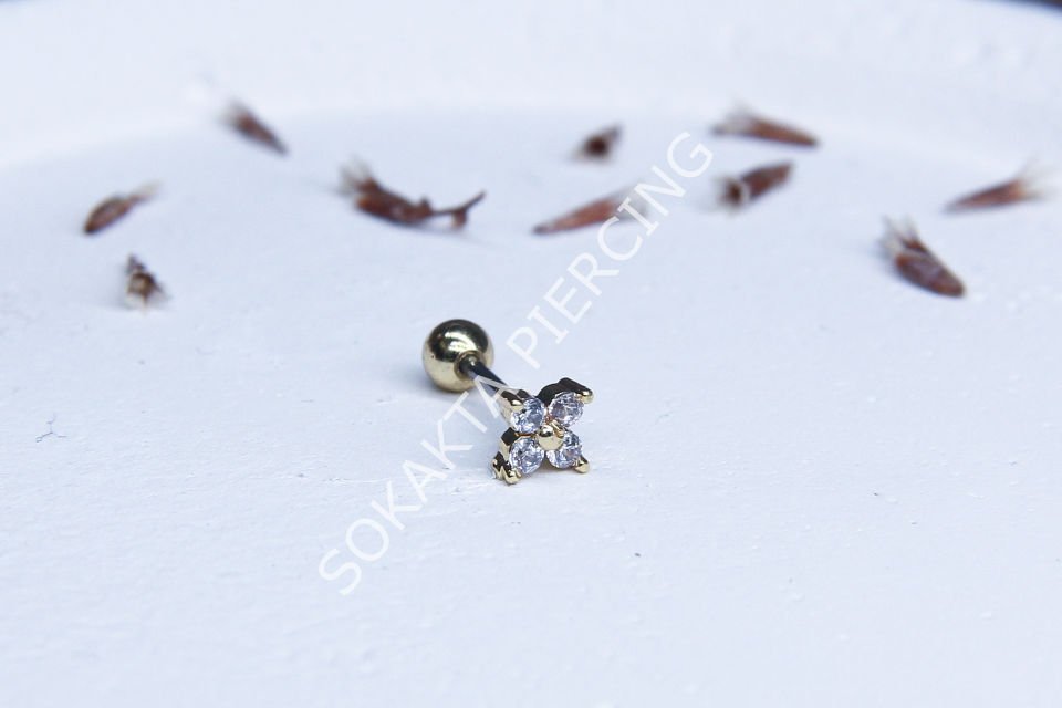 A18 - TRAGUS Silver