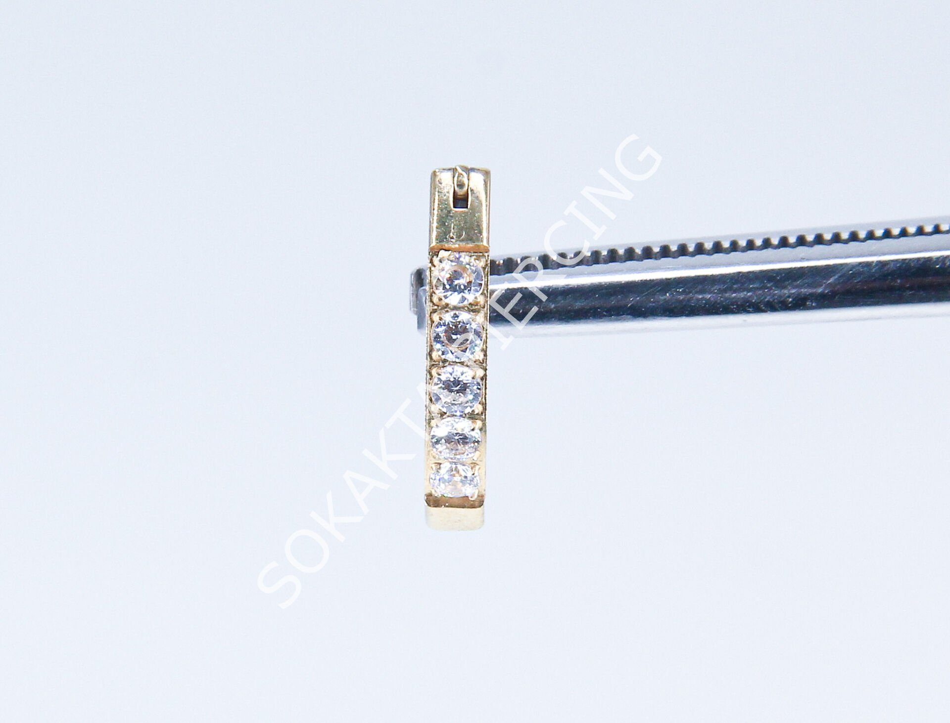 F293 - TITANIUM GÖBEK