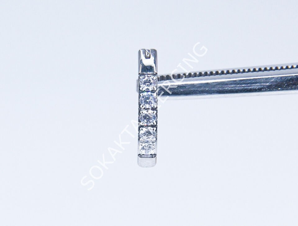 F293 - TITANIUM GÖBEK