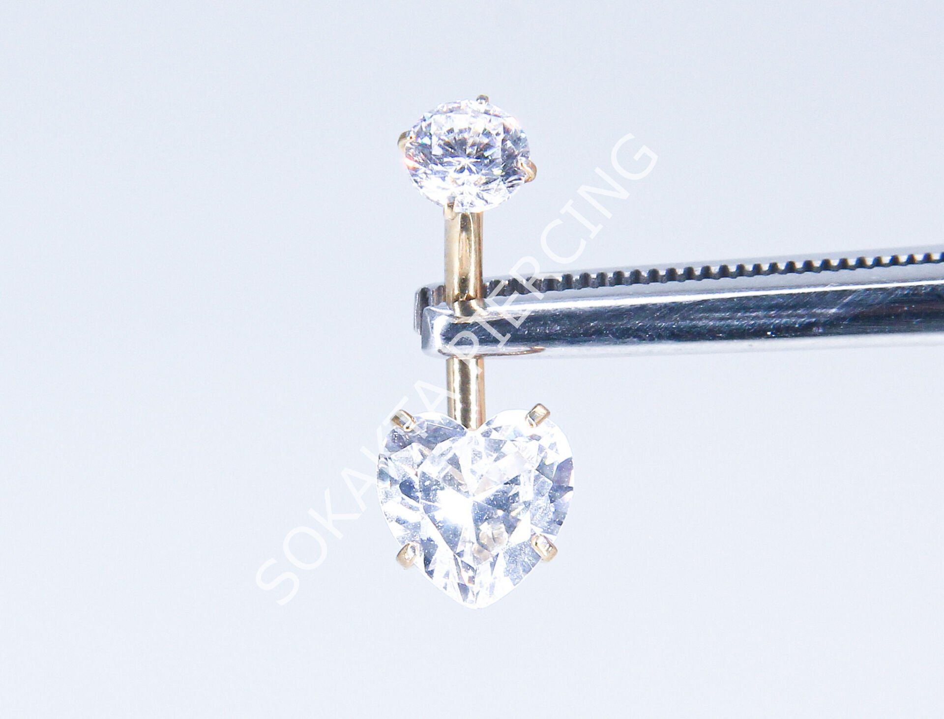 F278 - TITANIUM GÖBEK