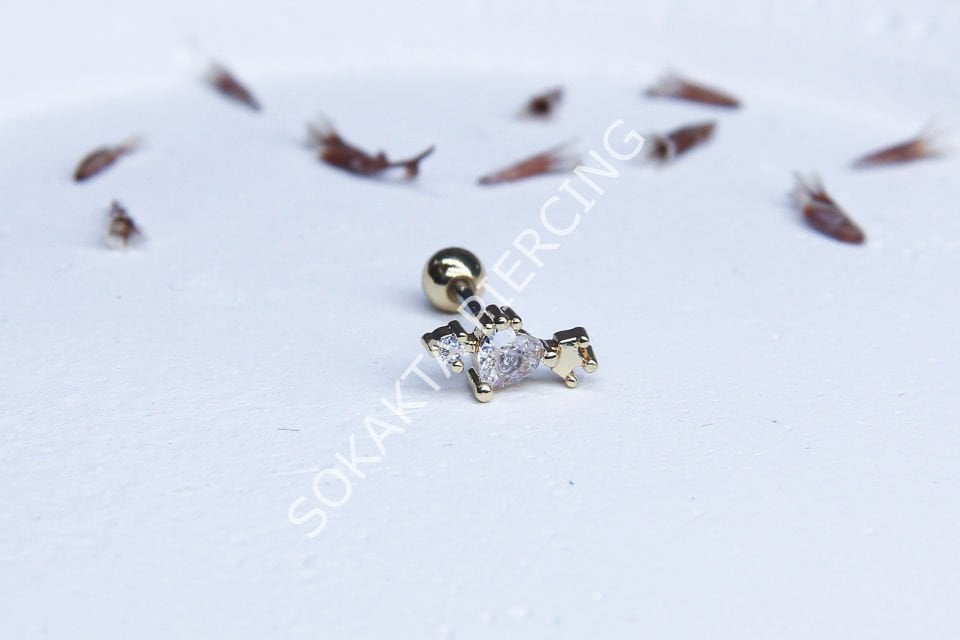 A31 - TRAGUS Gold