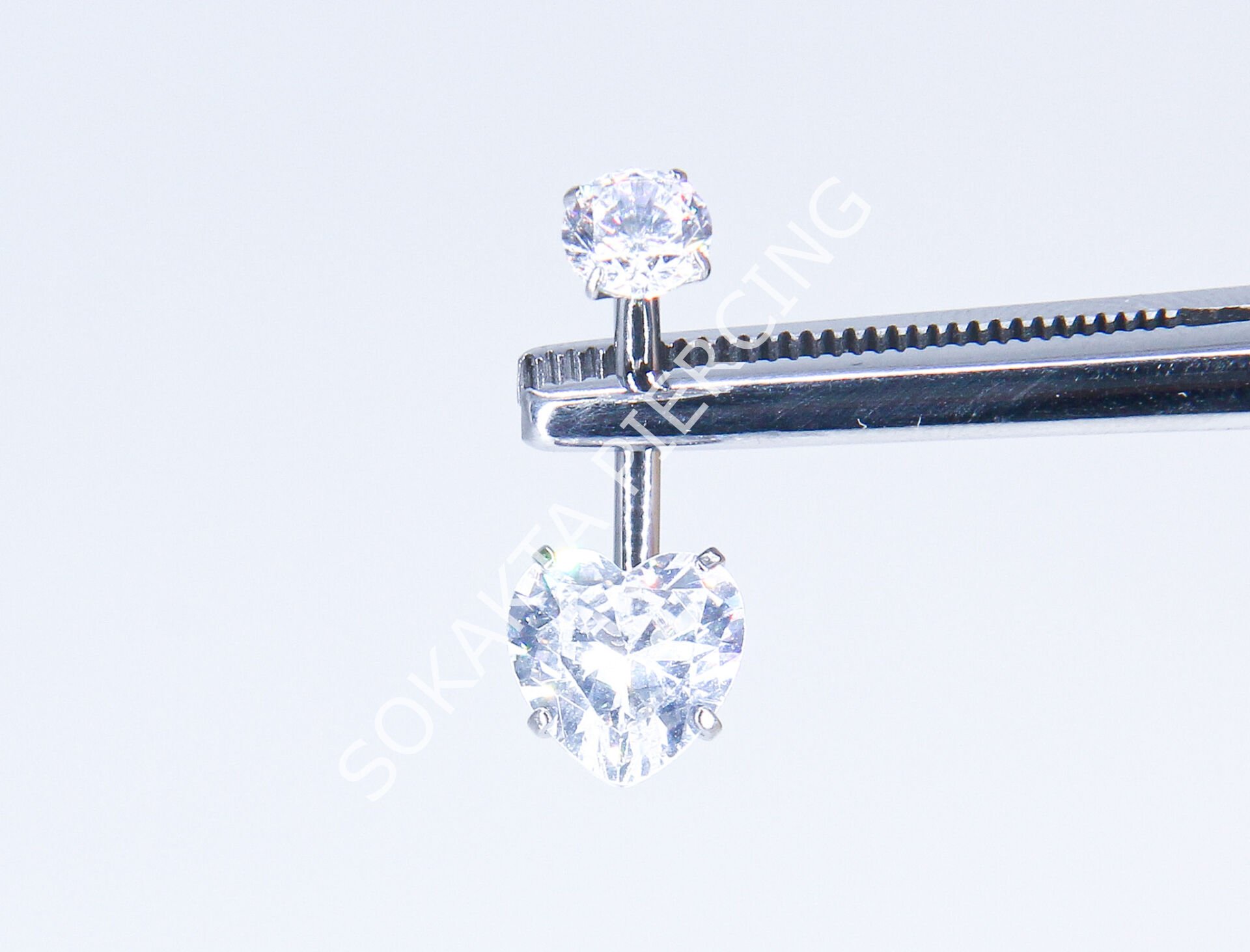 F279 - TITANIUM GÖBEK