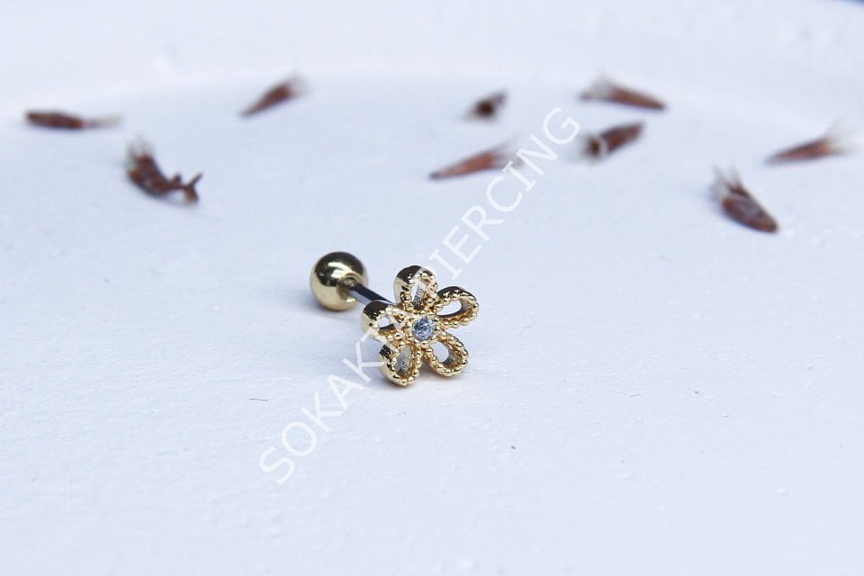 C9 - TRAGUS Gold