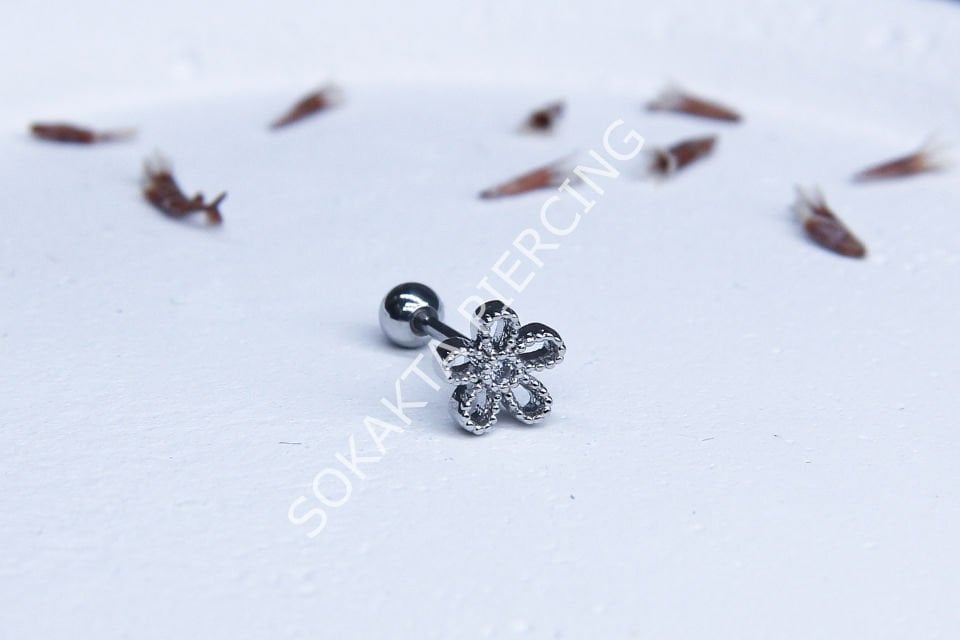 C9 - TRAGUS