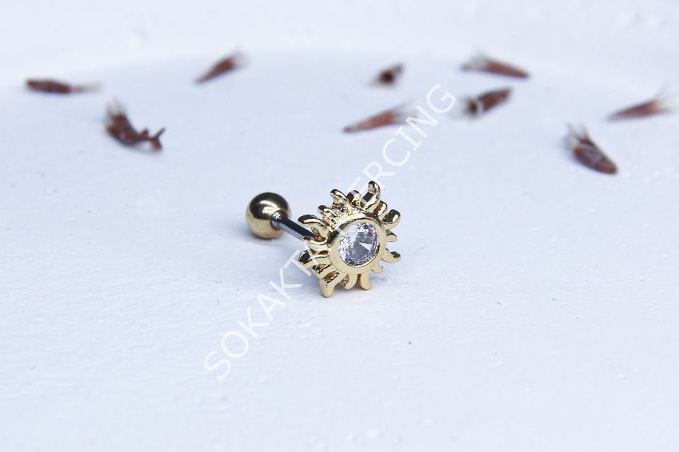 Z42 - TRAGUS