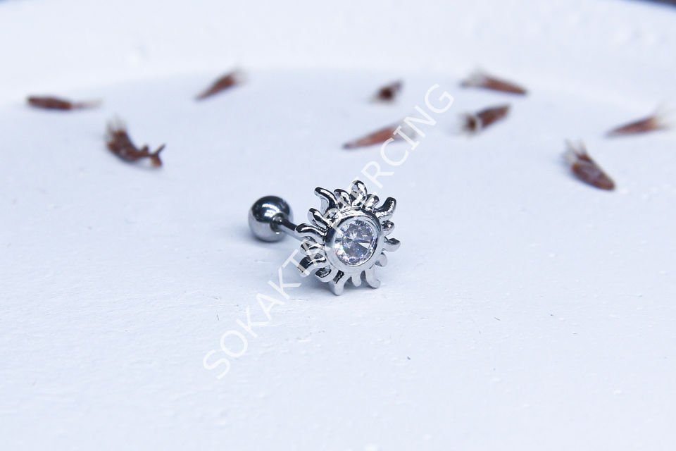 Z42 - TRAGUS