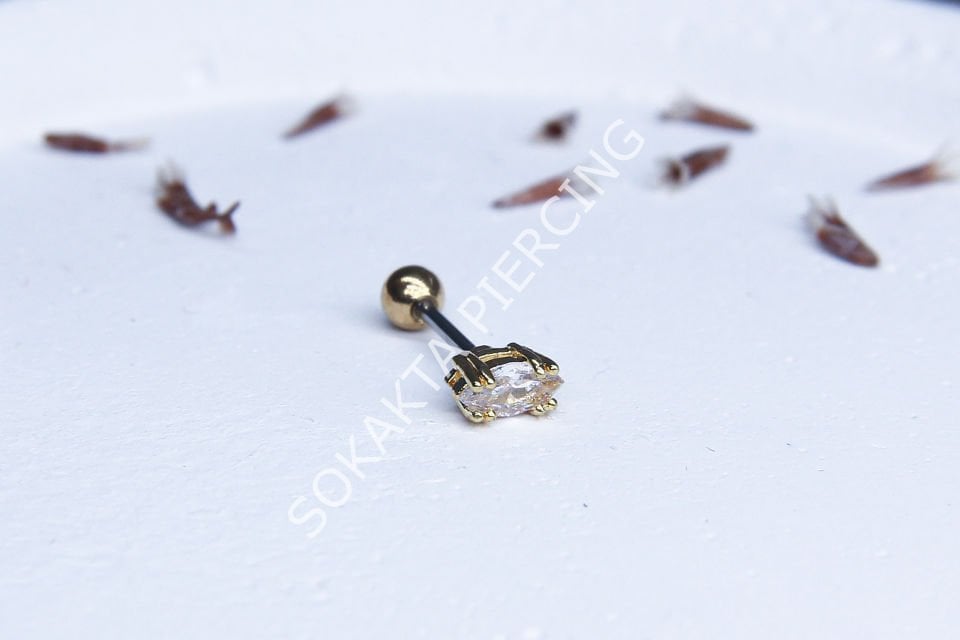 A95 - TRAGUS Gold