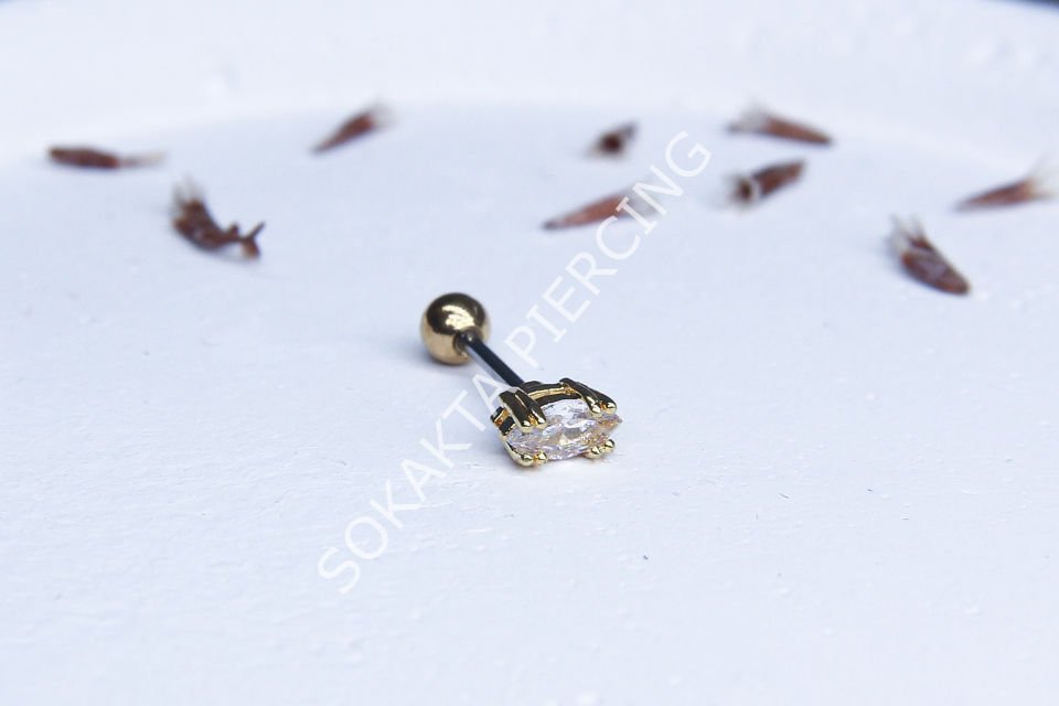 A95 - TRAGUS Gold