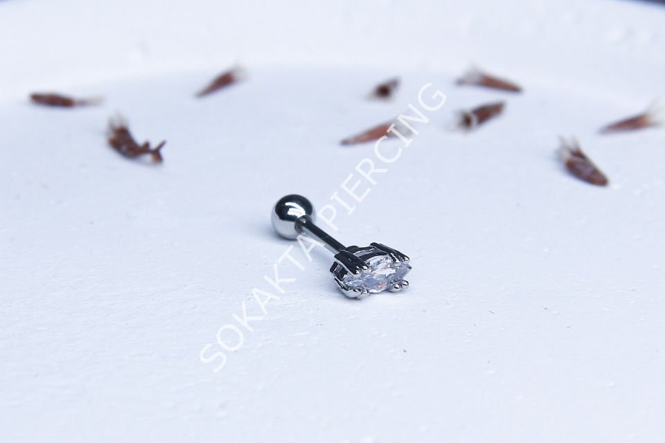 Z100 - TRAGUS