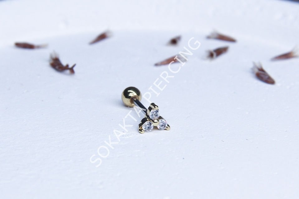 A16 - TRAGUS Silver