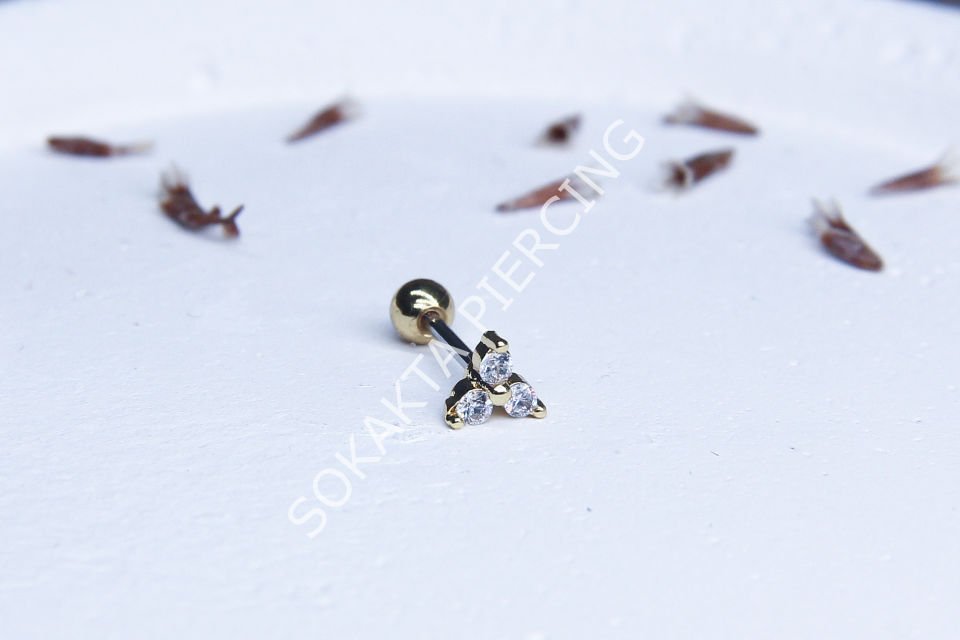 A16 - TRAGUS Silver
