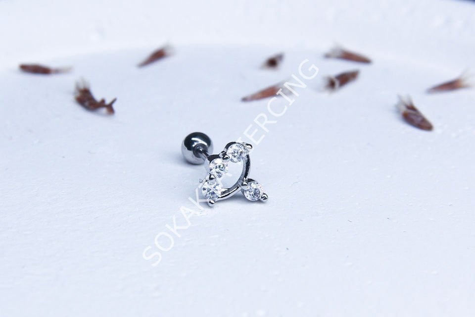 B21 - TRAGUS