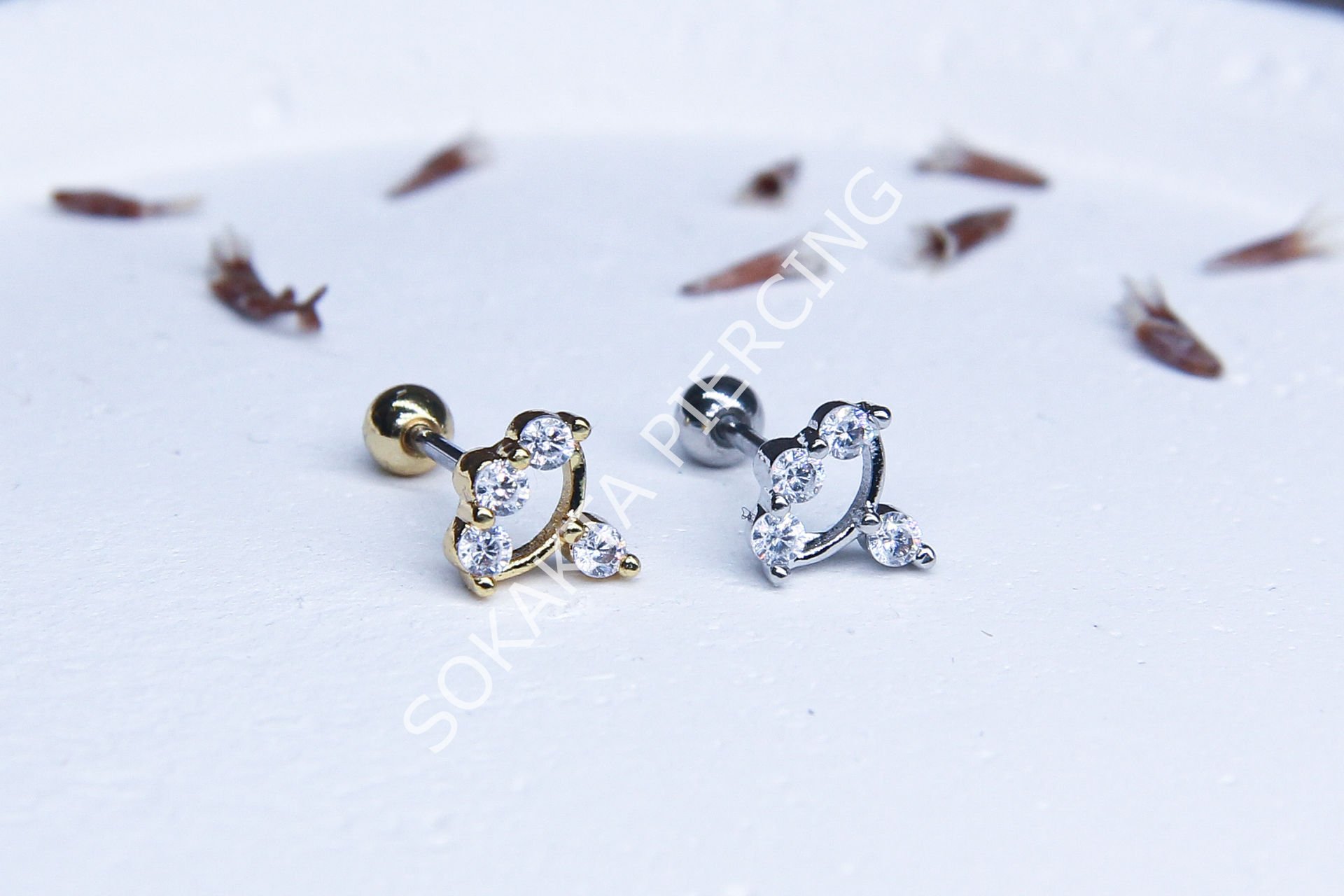 B21 - TRAGUS