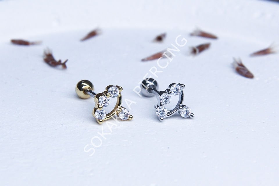 B21 - TRAGUS
