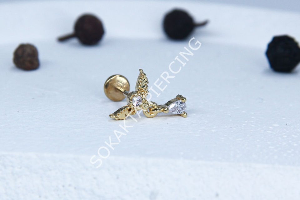C60 - TRAGUS
