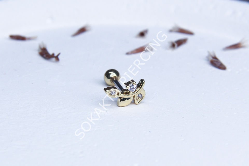 A43 - TRAGUS Silver