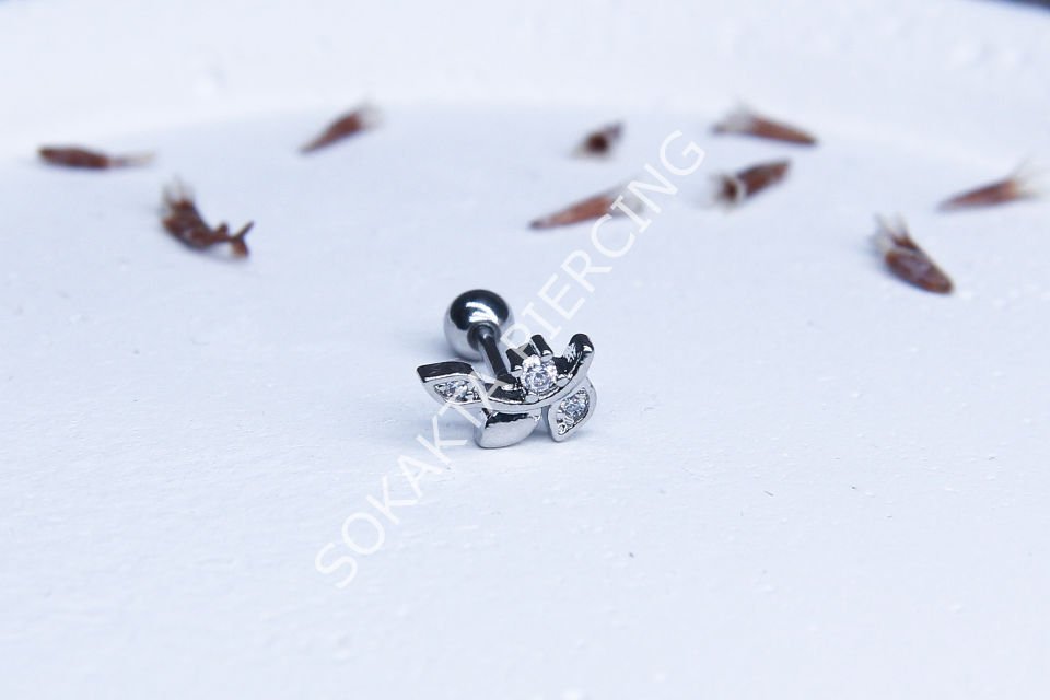 A43 - TRAGUS Silver